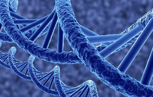A New Study Shows that DNA Mutations Not Random - Dr. Ramon - Ramon De La Puerta, MD