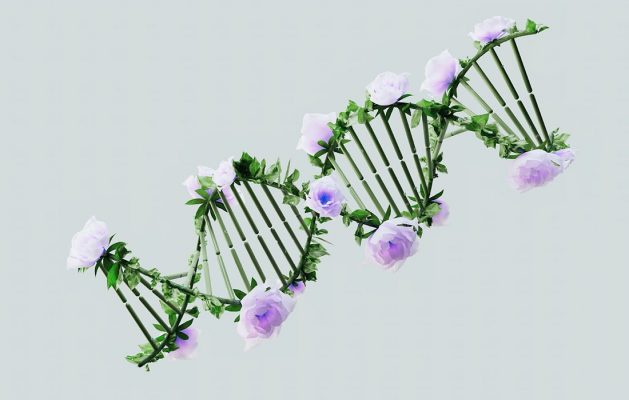 Insights into a DNA Repair Pathway Implicated in Breast, Ovarian, and Prostate Cancers - Dr. Ramon - Ramon De La Puerta, MD