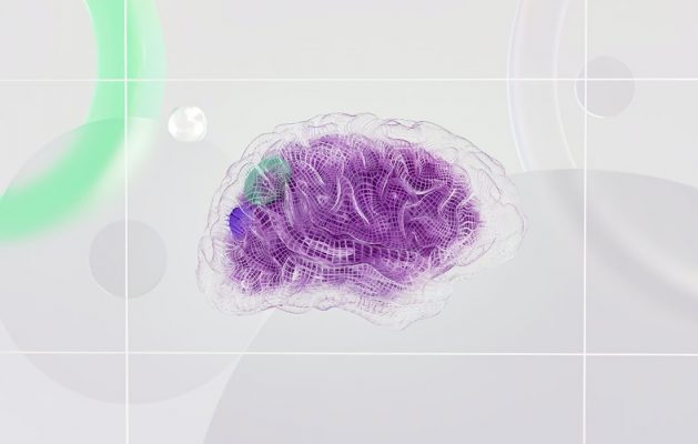 Smaller Hippocampus Linked to Cognitive Decline - Dr. Ramon - Ramon De La Puerta, MD Smaller Hippocampus Linked to Cognitive Decline - Dr. Ramon - Ramon De La Puerta, MD